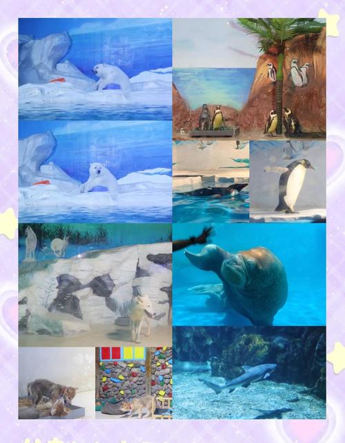 天津海昌海洋世界攻略