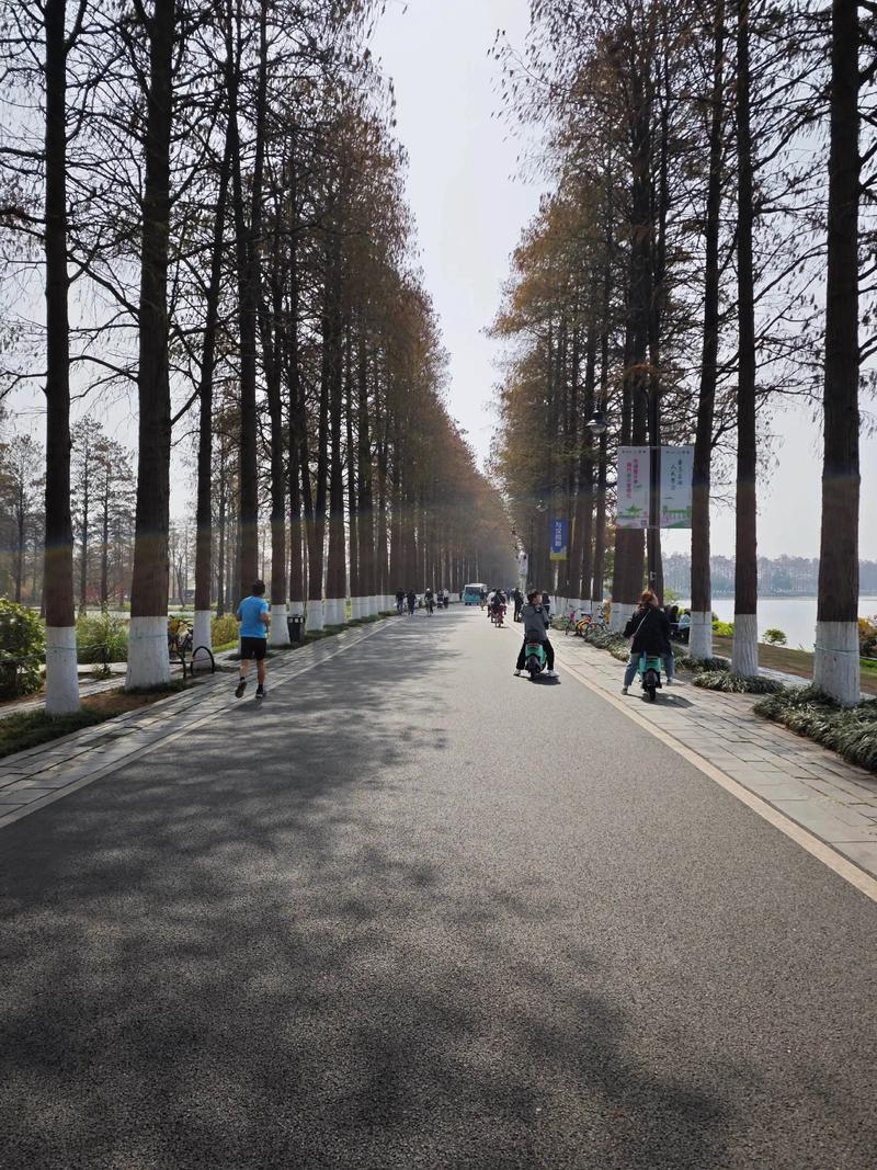 武汉东湖绿道骑行攻略