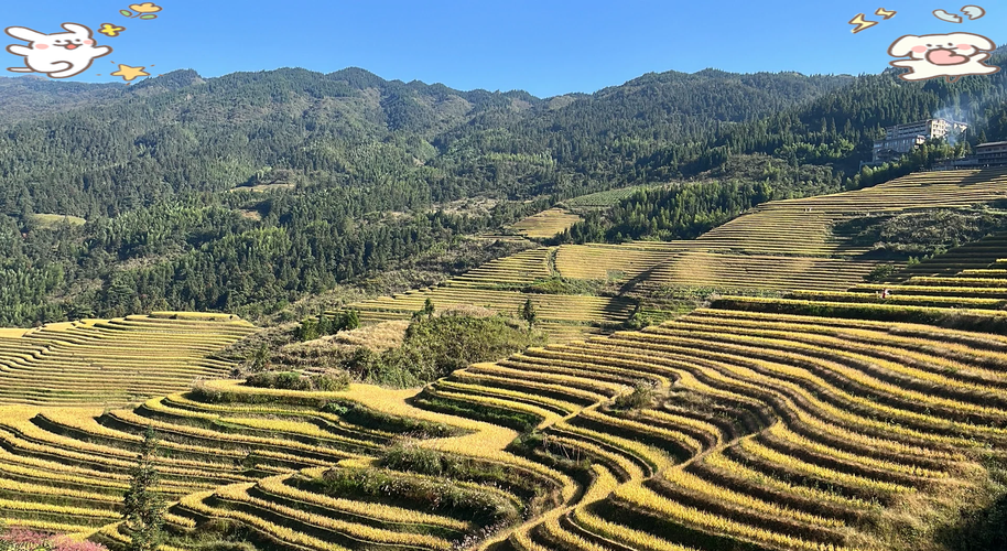 龙脊金坑梯田旅游攻略