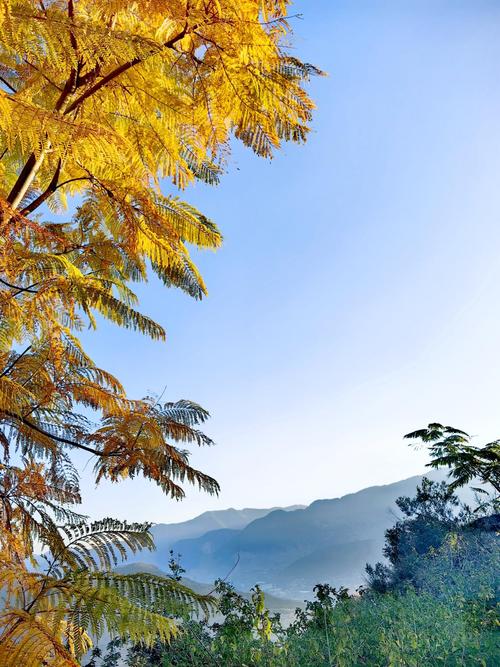 米易自驾游旅游景点攻略