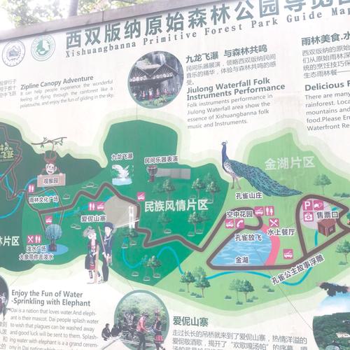 版纳森林公园旅游攻略
