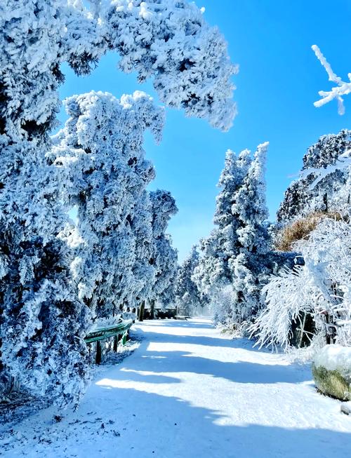广州出发看雪的旅游景点