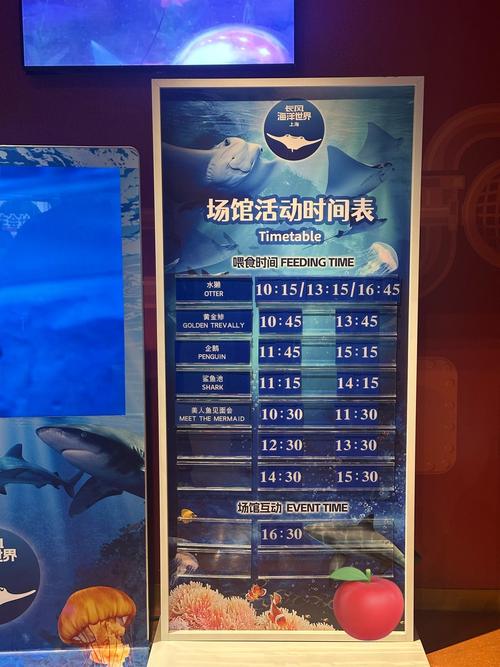 长风海洋世界游玩攻略