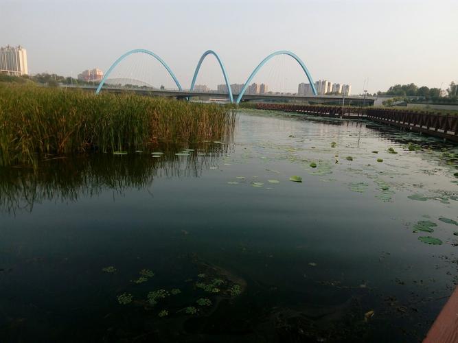 河南新郑旅游景点有哪些