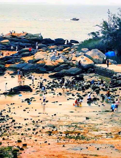 惠州有几个海边旅游景点