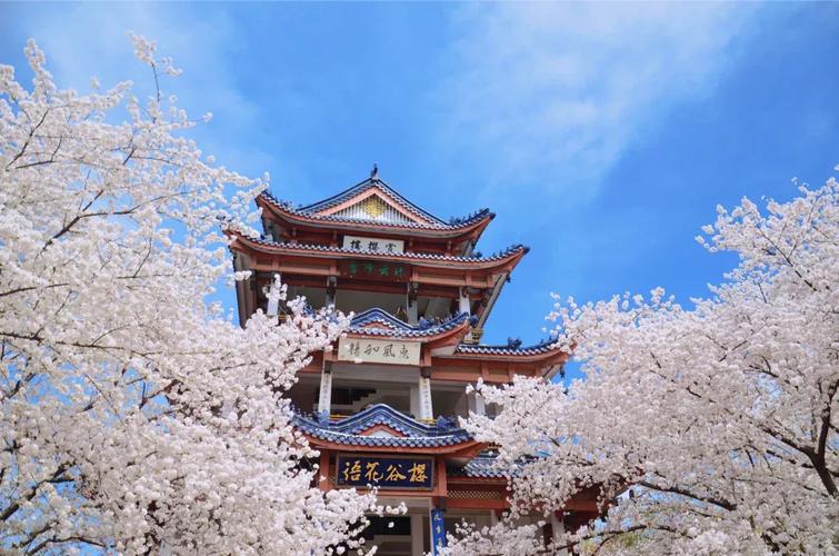 苏州鼋头渚一日游攻略