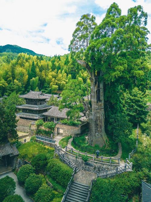 浙江丽水有什么旅游景点