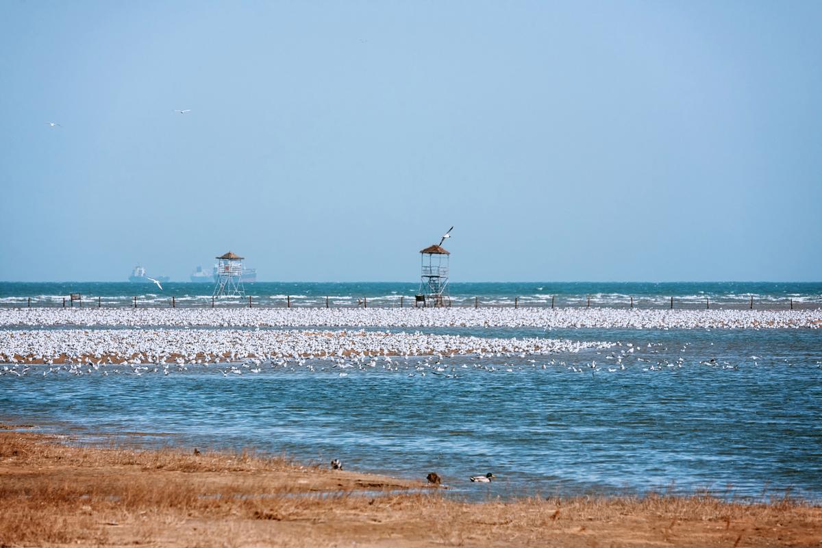 河北北戴河旅游景点大全