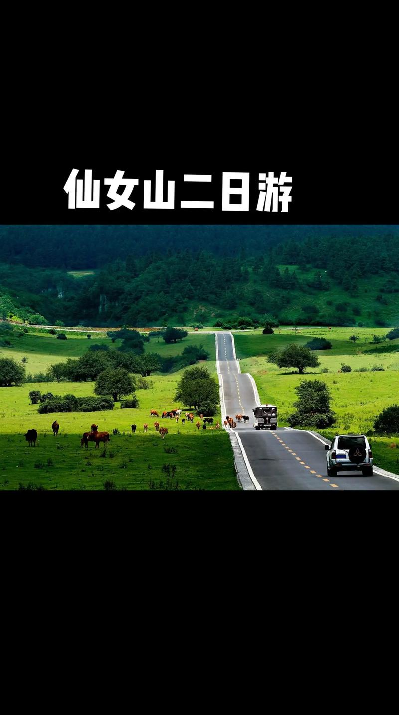 武隆两日游攻略自由行