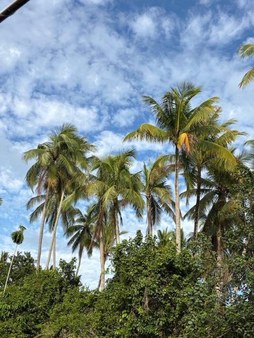 哥打京那巴鲁旅游攻略