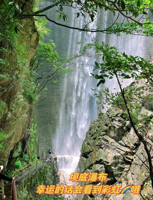 杭州天目山旅游景点攻略