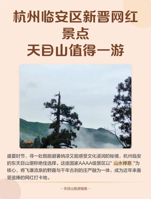 杭州天目山旅游景点攻略