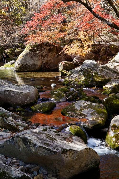 本溪适合老年人旅游景点