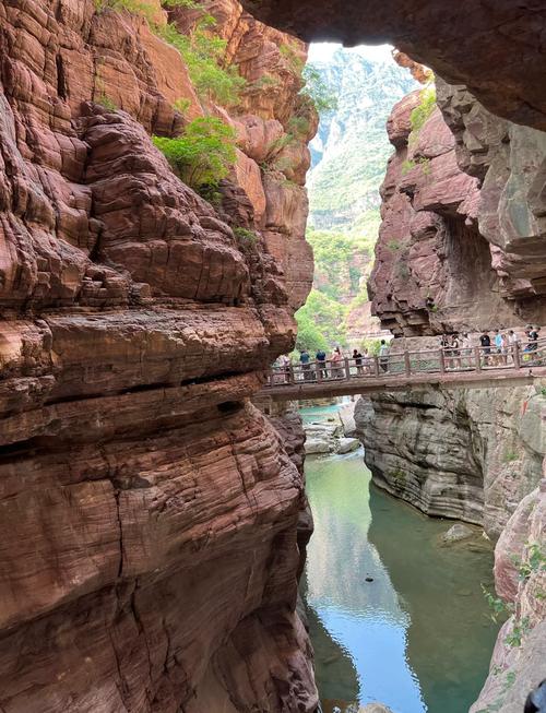 河南焦作有什么旅游景点