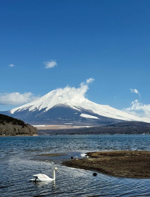 富士山旅游攻略自由行