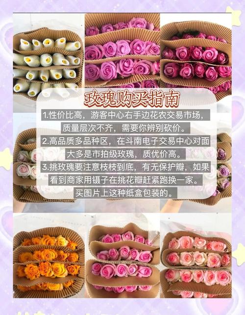 斗南花卉市场买花攻略