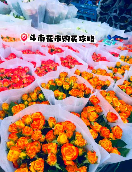 斗南花卉市场买花攻略