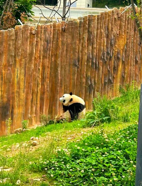 西安到佛坪自驾游攻略