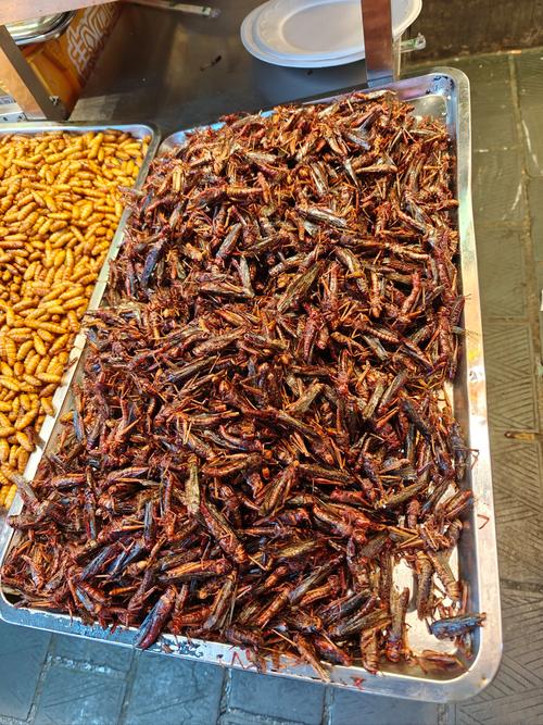 遵义可带走的美食特产