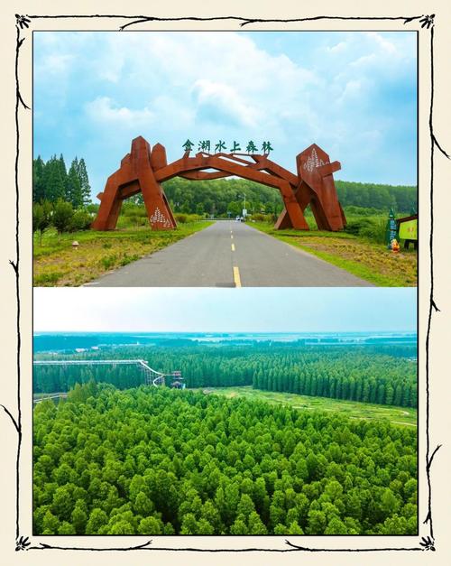 金湖国家森林公园攻略