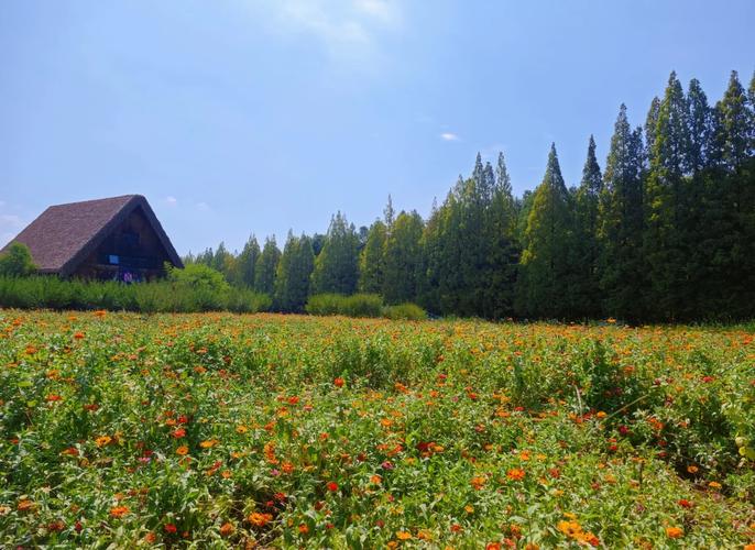 金湖国家森林公园攻略