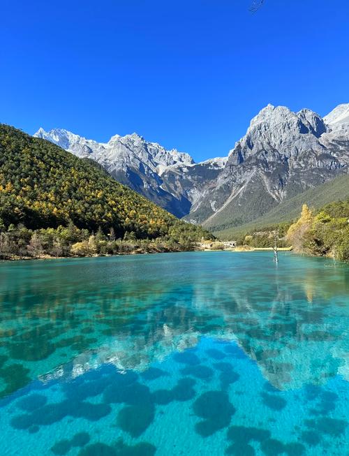 丽江旅游景点攻略自由行