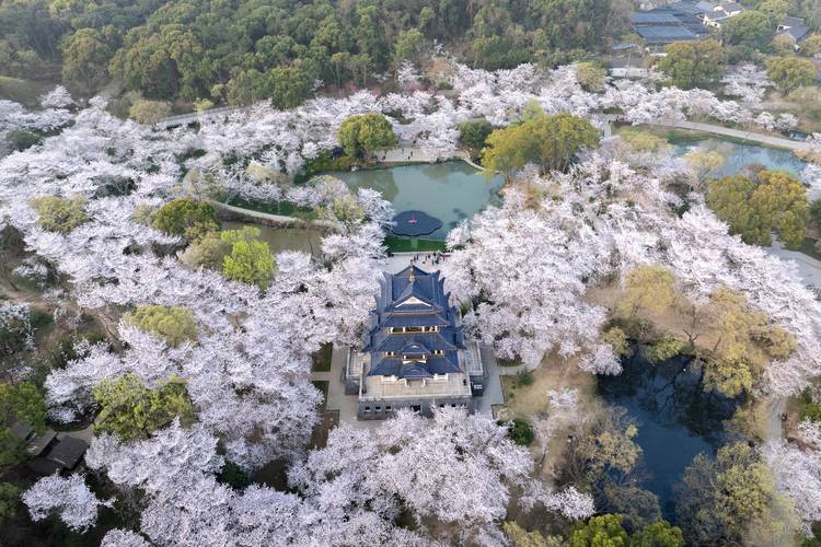 3月份无锡旅游景点推荐