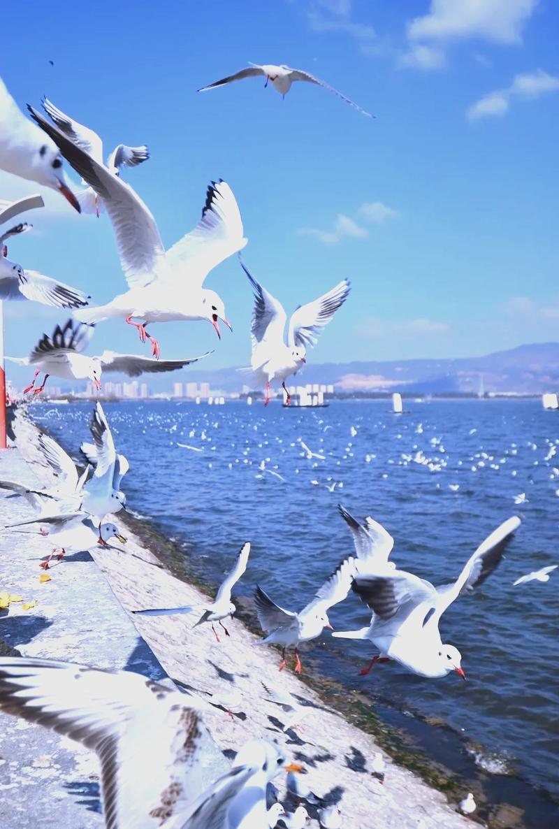 云南省的旅游景点有哪些