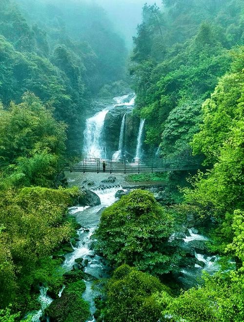 浙江有山有水的旅游景点