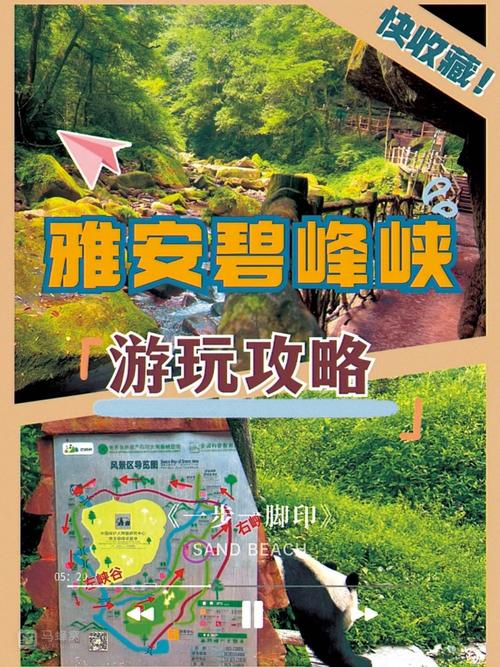 碧峰峡风景区旅游攻略