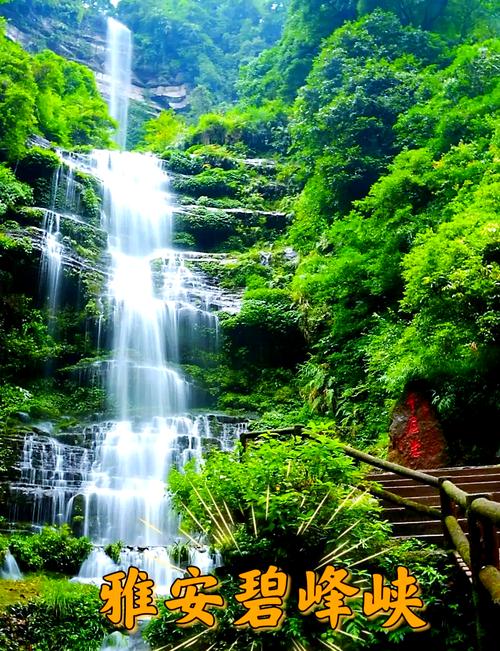 碧峰峡风景区旅游攻略