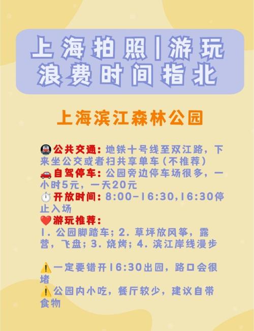 上海滨江森林公园攻略