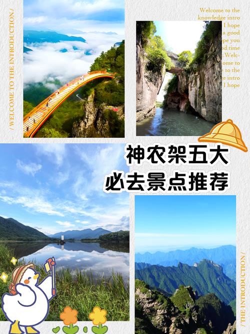 襄阳到神农架旅游攻略