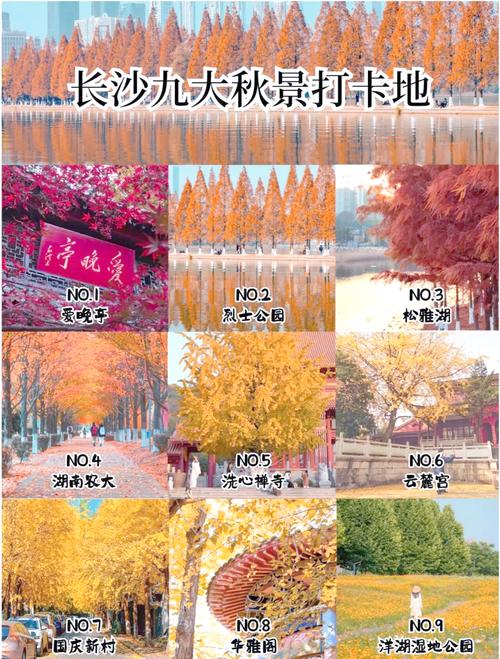 长沙旅游景点排名前十名