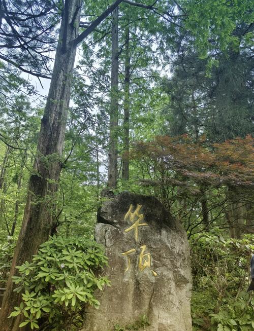 华顶国家森林公园攻略