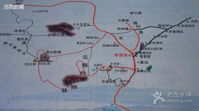 华顶国家森林公园攻略