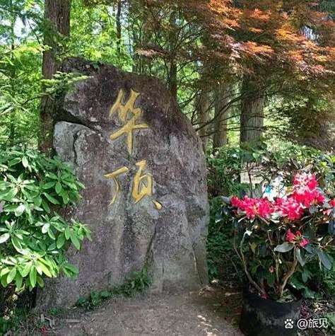 华顶国家森林公园攻略