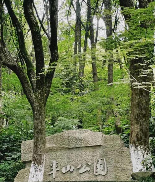 半山国家森林公园攻略