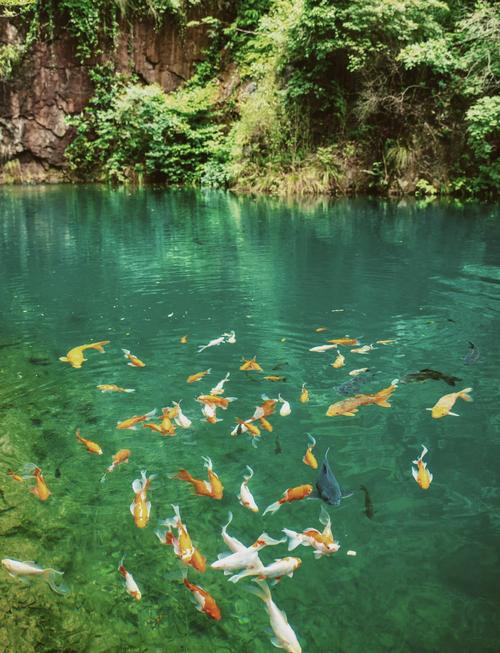 上海桐庐旅游景点大全