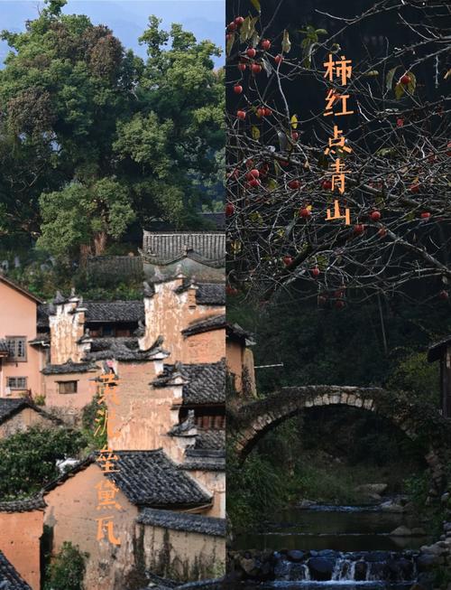 浙江丽水旅游景点攻略