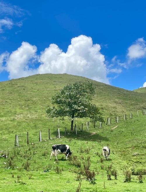 城步南山牧场旅游攻略