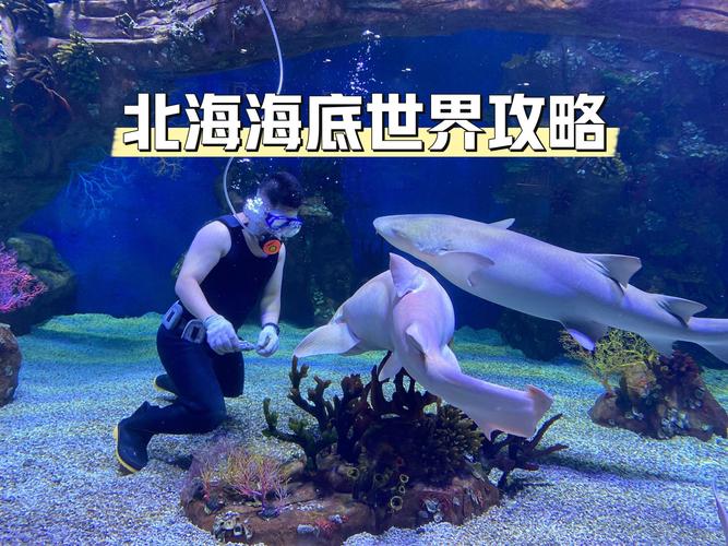 北海海底世界旅游攻略