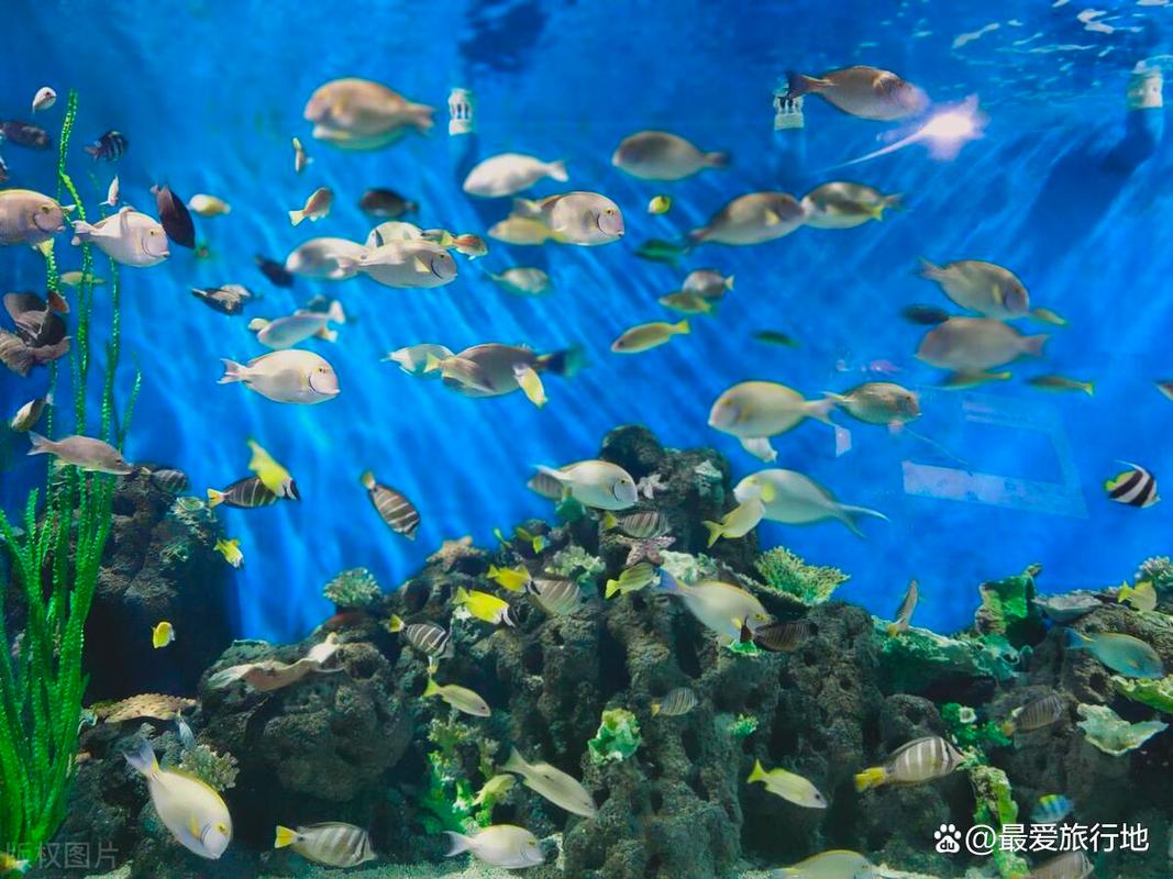 北海海底世界旅游攻略