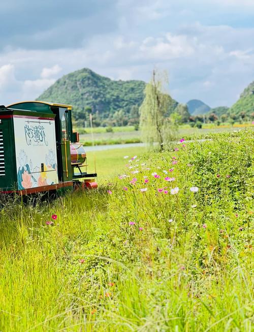 昆明到普者黑旅游攻略