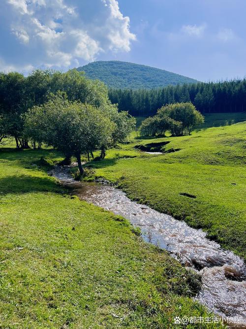 承德坝上草原游玩攻略