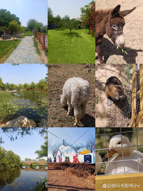 花海欢乐世界游玩攻略