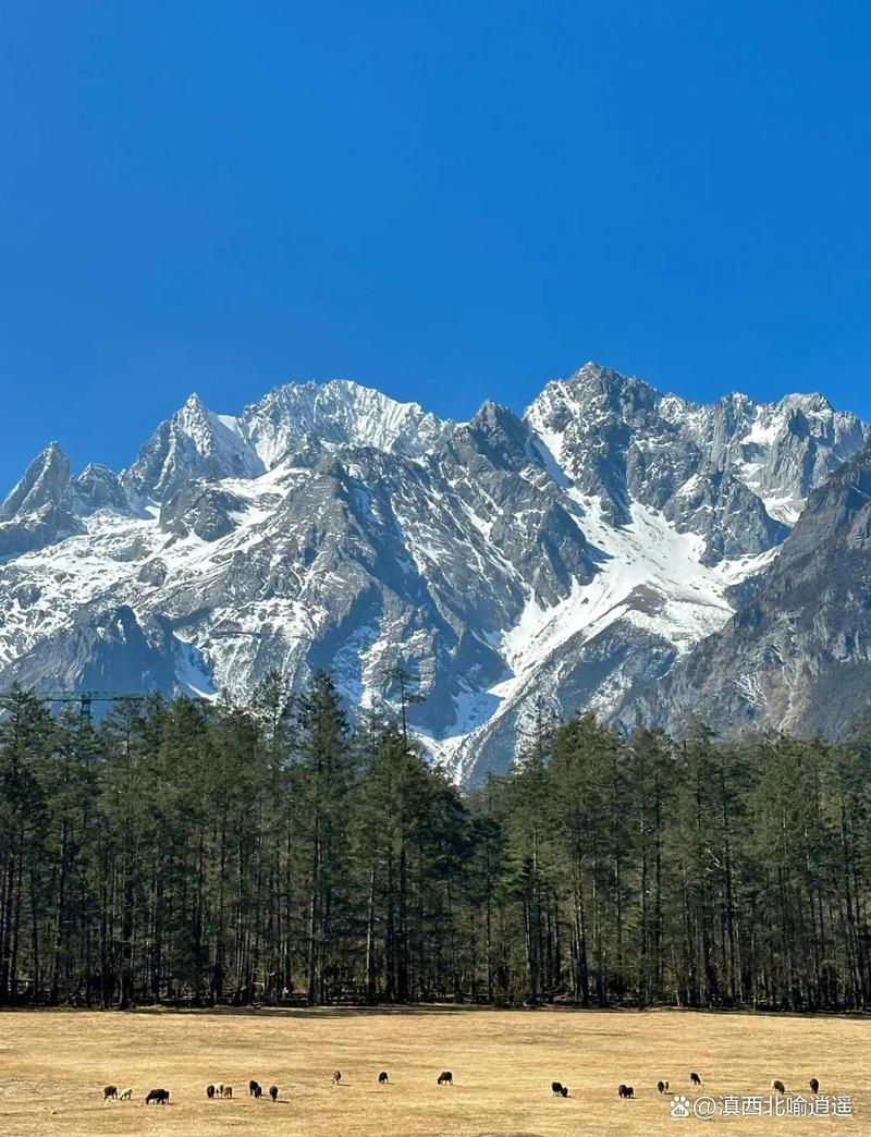 丽江旅游景点大全图片