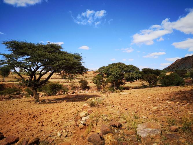 埃塞俄比亚的旅游景点