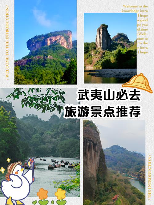 厦门武夷山一日游攻略
