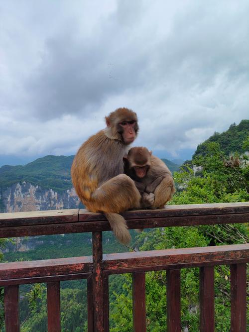 云阳的旅游景点有哪些
